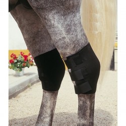 Protectores neopreno Corvejón negro