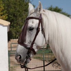 Cabezada Jerezana Alomada