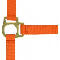 Cabezada cuadra nylon c/ramal