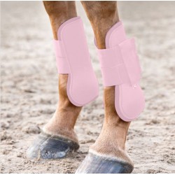 Protector tendon delantero - Horze