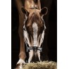 CABEZADA CUADRA EQUILINE TIMMY
