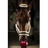 CABEZADA CUADRA C/BORRIGUILLO EQUILINE TOM
