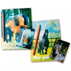 Libretas y lapicero multicolor
