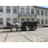 Carruaje Militar