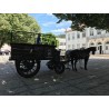 Carruaje Militar