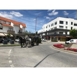 Carruaje Militar