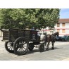 Carruaje Militar