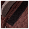 Salvacruz BR con borriguillo natural