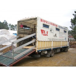 Camion Transporte