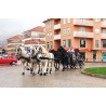 carruaje boda caballos, carro ceremonia, evento, comunión Galicia