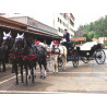 Casamento com  4 cavalos