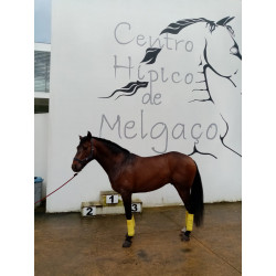 Potro De Deporte