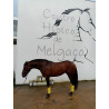 Potro De Deporte