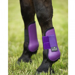 PROTECTORES MINISHETLAND DELANTEROS