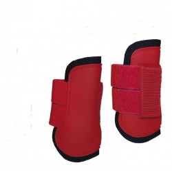 Protector "PRO-ZALDI" Minishetland