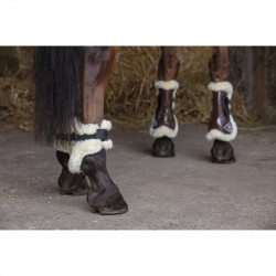 Protector Tendon XTR