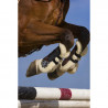 Protector Tendon XTR