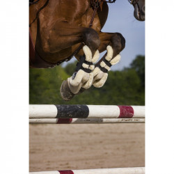 Protector Tendon XTR
