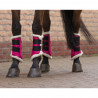 Protectores Astana