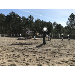 Pony A Welhs