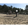 Pony A Welhs