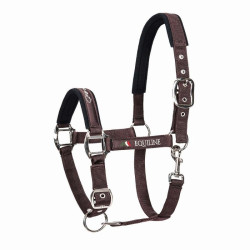 CABEZADA CUADRA EQUILINE TIMMY