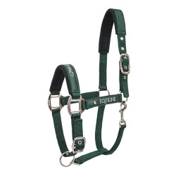CABEZADA CUADRA EQUILINE TIMMY