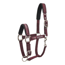 CABEZADA CUADRA EQUILINE TIMMY