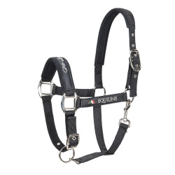 CABEZADA CUADRA EQUILINE TIMMY
