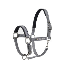CABEZADA CUADRA EQUILINE TIMMY