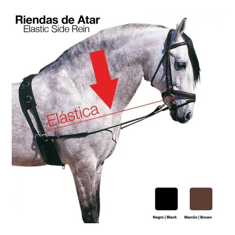 Riendas Atar Elastica