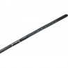 Cinturon Equitheme Filete de Oliva