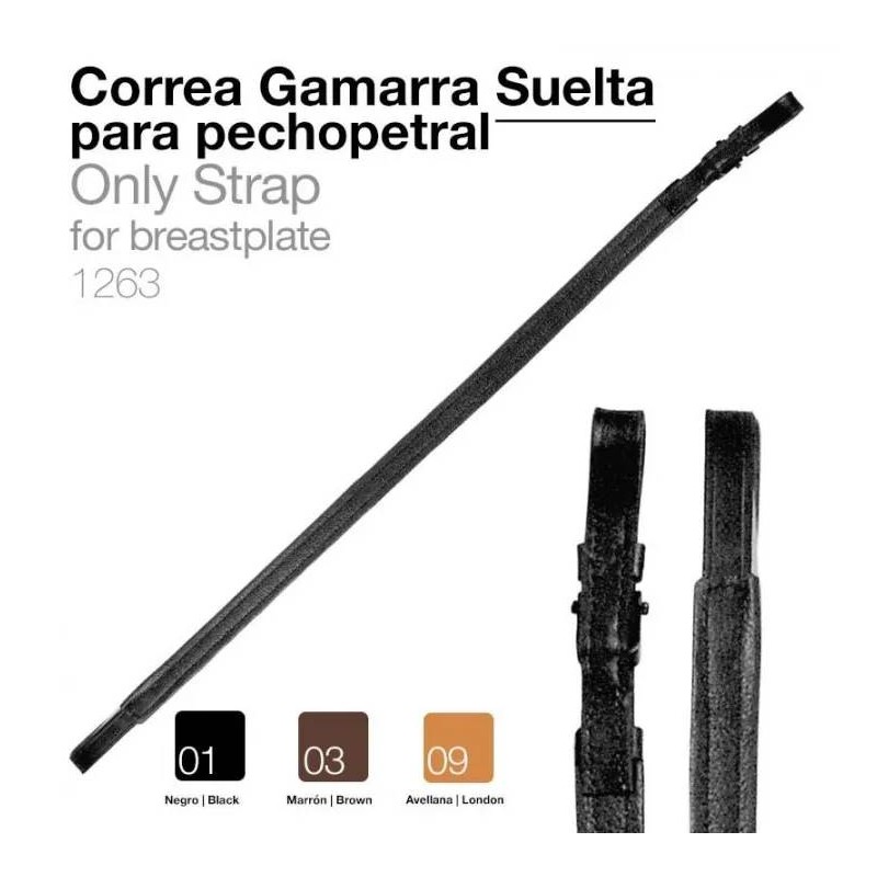 Correa Gamarra