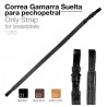 Correa Gamarra
