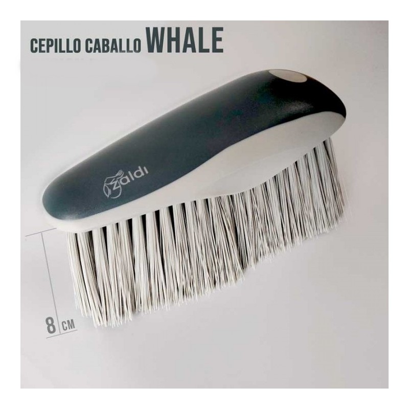 Cepillo Caballo Whale 80mm