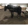 PONY C CAPA NEGRA