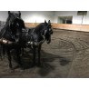 PONY C CAPA NEGRA