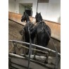 PONY C CAPA NEGRA
