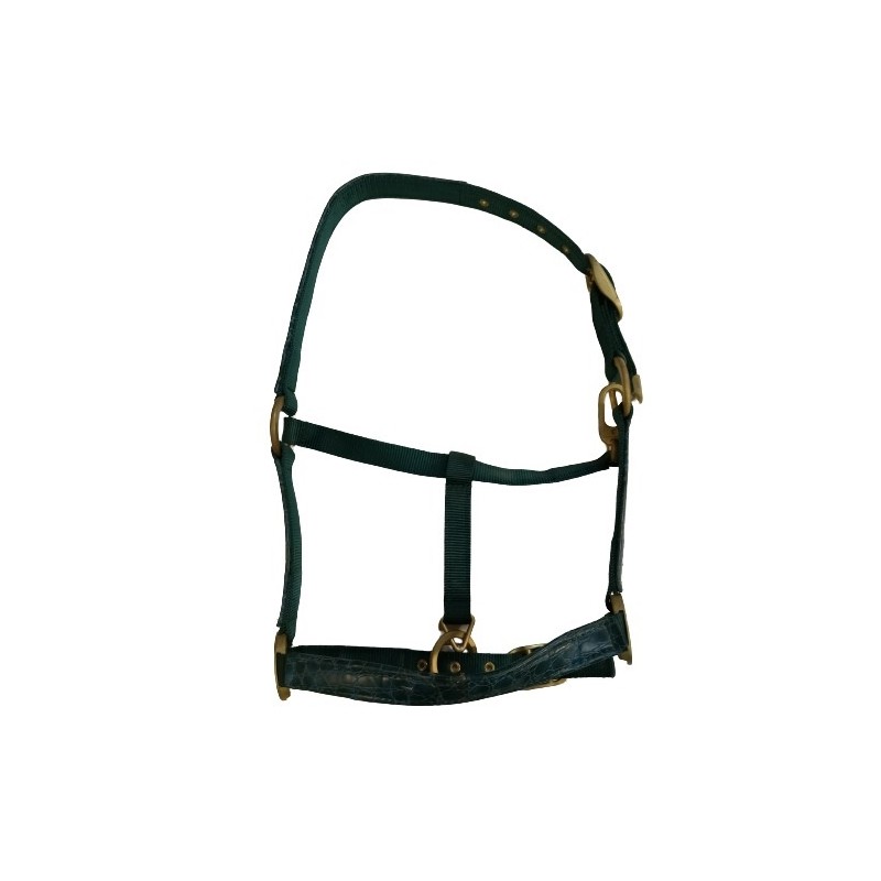 Cabezada Cuadra Tattini Extra