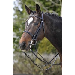 Cabezada Inglesa Simple Stubben 3100