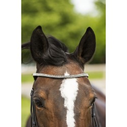 Cabezada Inglesa Luxe