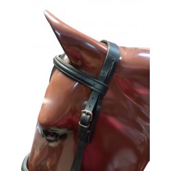 Cabezada Montar Cuero