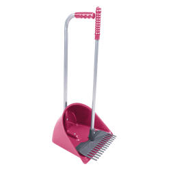 Recogedor y Rastrillo Mini Mistboy
