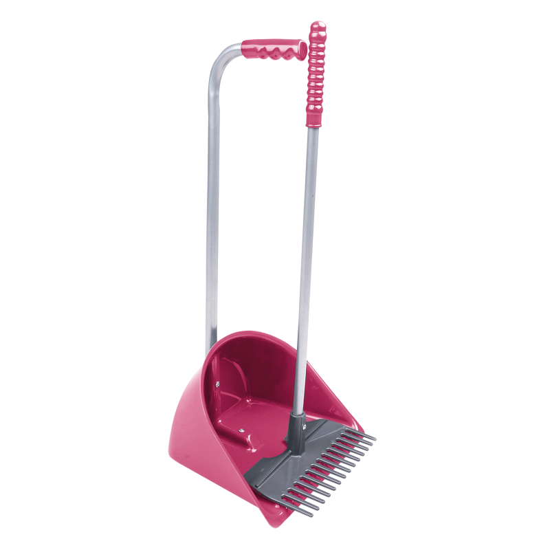 Recogedor y Rastrillo Mini Mistboy