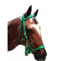 Cabezada Cuadra/Montar Nylon