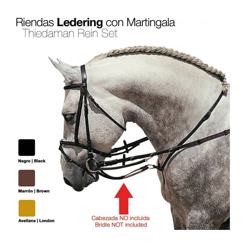Rienda Ledering