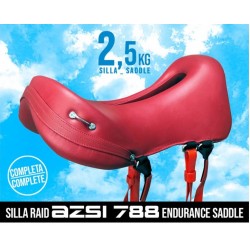 Silla Raid Endurance AZSI 788 Completa