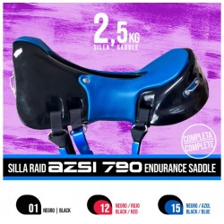 Silla Raid Endurance AZSI 790 Completa