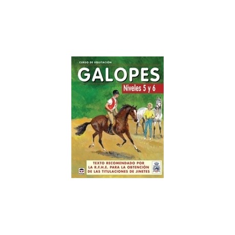 Curso de equitación Galopes Niveles 5 AL 6