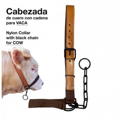 Cabezada Vaca Con Cadena